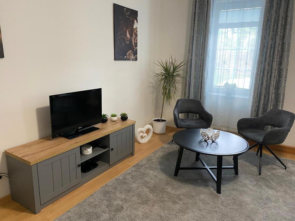 Cerny Tulipan - Apartman 1 플젠 외부 사진